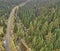 Aerial view of a country road through a valley in the Harz along the Innerste next to slopes densely covered with coniferous