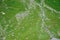 Aerial view of cows on green Alpine pasture. Minimalist nature. Brown cows on green meadow from above. Cattle, farm animals. Herd