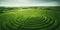 Aerial view of crop circles in a vast green field , concept of Mysterious formations