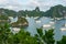 Aerial view of cruise boats in Halong Bay