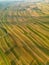 Aerial view of cultivated field Suloszowa village in Krakow County, Poland