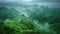 Aerial view of a curvy road snaking through a lush green mountain range with mist.