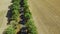 Aerial view cycling race on countryside highway on yellow fields landscape