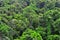 Aerial view of Daintree National Park canopy Queensland Austral