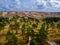 Aerial view of dead grey dunes in Curonian spit, Lithuania