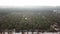 Aerial view dead palm trees in mist in evening at Penang