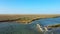 Aerial view of deers in the autumn steppe, sika deers in the autumn steppe, Herd of deer in autumn steppe aerial, aerial