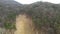 Aerial view of deforestation. Flying over a site of cut down trees