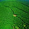 Aerial view of deforested area of the Amazon rainforest caused by illegal mining created with