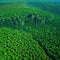 Aerial view of deforested area of the Amazon rainforest caused by illegal mining created with