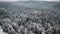 Aerial view of a dense forest blanketed in snow during a snowfall, Flying over a forest covered with snow in snowing weather, AI