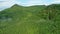 Aerial view of dense forested hills during summer season