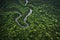 aerial view of dense jungle ecosystem with winding rivers and waterfalls