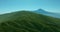 Aerial view. Dense pine tree forest on Tenerife on the background of the volcano Teide.