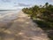 Aerial view deserted beach with coconut trees on the coast of bahia brazil