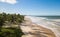 Aerial view deserted beach with coconut trees on the coast of bahia brazil