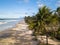 Aerial view deserted beach with coconut trees on the coast of bahia brazil