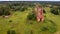 Aerial view the destroyed church of the Kazan Icon of the Mother of God. Village Russky Noviki