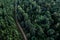 Aerial view of the dirt road passing through the fores