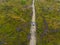 Aerial view on dirt road through swampy wilderness with forest cut down