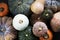 Aerial view of diverse fresh pumpkins