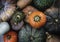 Aerial view of diverse fresh pumpkins