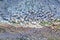 Aerial view with dozen of stones on Giants Causeway, the famous landmark on Northern Ireland UK