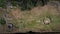 Aerial view Drombeg stone circle. county Cork. Ireland