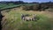 Aerial view Drombeg stone circle. county Cork. Ireland