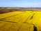 Aerial view with drone of a beautiful yellow rapeseed field and an intense green background typical of Europe cultivation