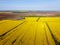 Aerial view with drone of a beautiful yellow rapeseed field and an intense green background typical of Europe cultivation