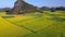 Aerial view drone flight above canola flower field, Luoping, China