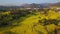 Aerial view drone flight above canola flower field, Luoping, China