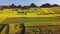 Aerial view drone flight above canola flower field, Luoping, China