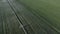 Aerial View from a Drone Flying above Green Farm Field Growing Crops Irrigation Pivot Sprinklers