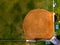 Aerial View from a Drone Flying above a Outdoor Baseball Field Diamond Textured Dirt