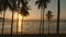 Aerial view drone flying through coconut palm trees to the sea, Laem Had beach, Koh Yao Yai, Thailand