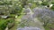 Aerial view of drone flying over blooming jacaranda trees