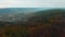 Aerial View from drone of forest with green trees. Shot over the north european wood. Small settlement village in the