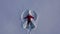 Aerial view from drone of girl in red winter coat making snow angel. Girl waves arms and legs lying in snow