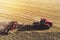 Aerial view drone of harvest field with tractor mows dry grass. Autumn yellow field with a haystack after harvest top view. Harves