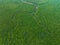 Aerial view Drone shot of Mangrove forest landscape view located in Phang-nga Thailand, Beautiful sunrise or sunset over sea,