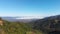 Aerial view drone shot scenic landscape tropical nature tree forest against a mountain