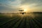 Aerial view of a drone spraying pesticides on a field at sunset, Drone analyzing farmers fields during, AI Generated