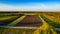 Aerial view with a drone of a spring wavy agricultural countryside landscape with plowed and unplowed fields and trees