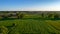 Aerial view with a drone of a spring wavy agricultural countryside landscape with plowed and unplowed fields and trees