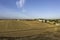 Aerial view with drone summer landscape of field with dry grass with marking of vehicles, trees and houses. Rural life, free,