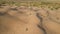 Aerial view from a drone. Woman in a long leopard dress walks along a high dune in the desert with grass in summer in