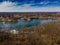 Aerial view of a dry forest at the shore of a frozen lake