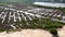 Aerial view dry plant over wetland